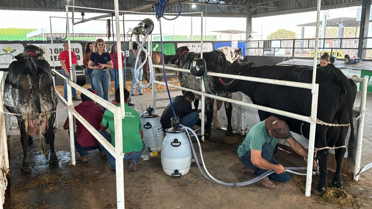 Torneio Leiteiro da 51ª Exposul vai destacar a qualidade dos rebanhos da região