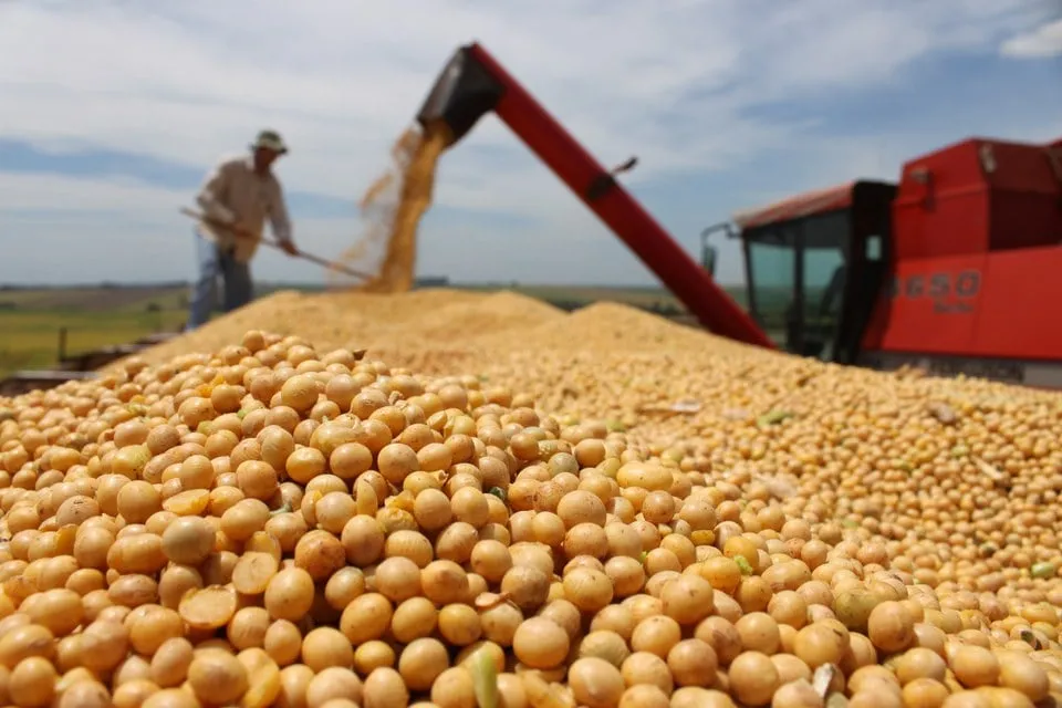 Com alta no prêmio de exportação, soja sobe 1% em Mato Grosso e saca vai a R$ 102,88
